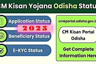 CM Kisan Yojana Odisha Status Check Online